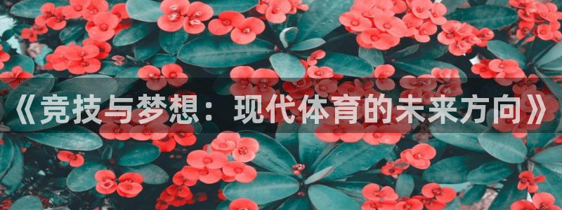 Bsport体育网登录入口2025最新版：《竞技与梦想：现代体育的未来方向》