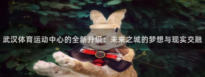 bsport体育最新版本更新内容：武汉体育运动中心的全新升级：未来之城的梦想与现实交融