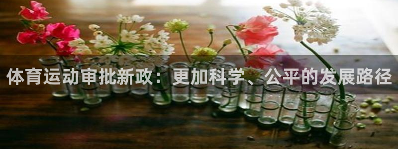bsport体育在线官网：体育运动审批新政：更加科学、公平的发展路径