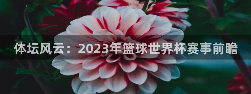Bsport体育官网：体坛风云：2023年篮球世界杯赛事前瞻
