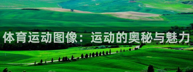 Bsport体育最新版官方入口：体育运动图像：运动的奥秘与魅力